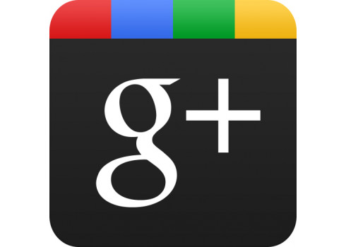 Google +1 推出了