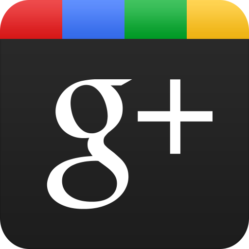 Google +1 推出了