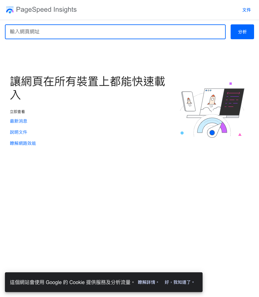 PageSpeed Insights