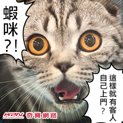 【KPN實驗室】獅子V.S豹?有對話的廣